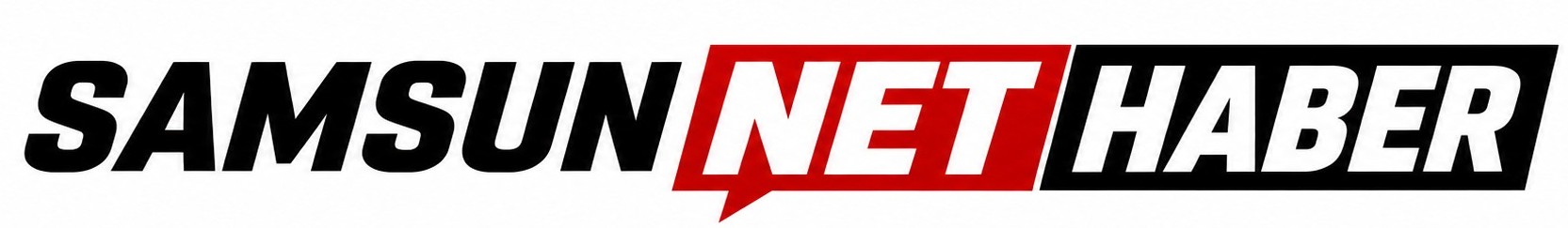 Samsun Net Haber, Samsunspor Haber, Samsun Yerel Haberleri, Samsun Gazetesi, Son Dakika Samsun  Logo